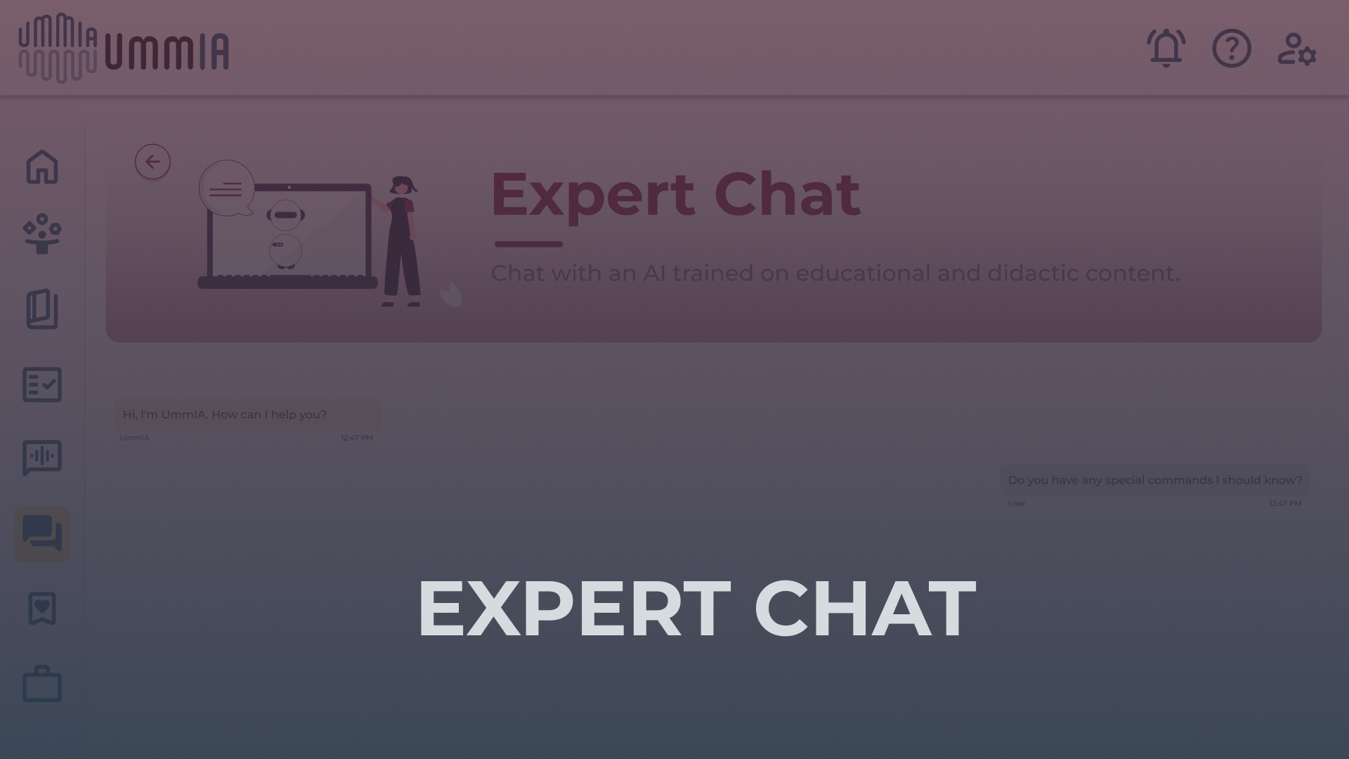 Expert Chat